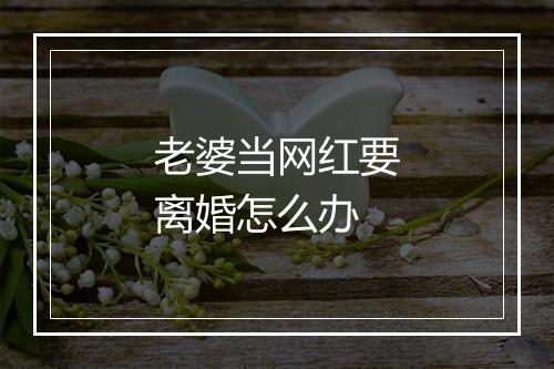 老婆当网红要离婚怎么办