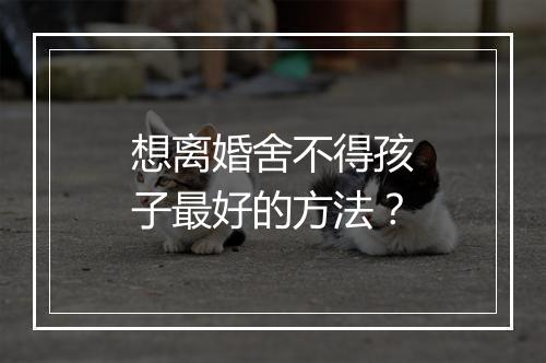 想离婚舍不得孩子最好的方法？