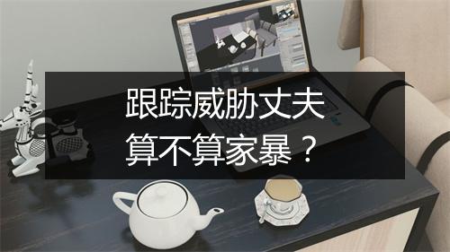 跟踪威胁丈夫算不算家暴？