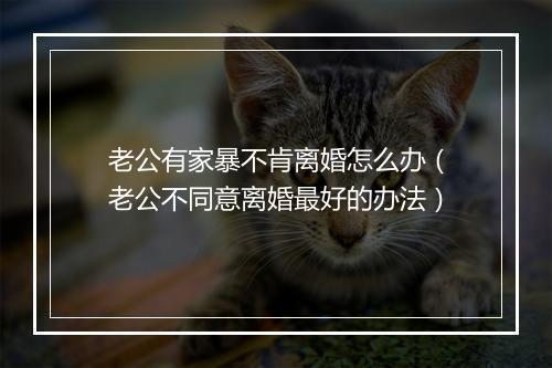 老公有家暴不肯离婚怎么办（老公不同意离婚最好的办法）