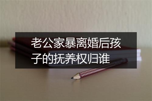 老公家暴离婚后孩子的抚养权归谁