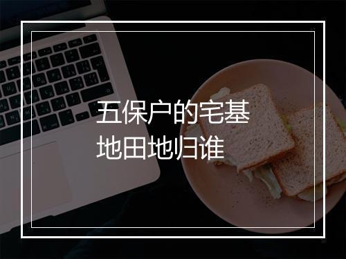 五保户的宅基地田地归谁