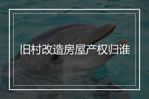 旧村改造房屋产权归谁