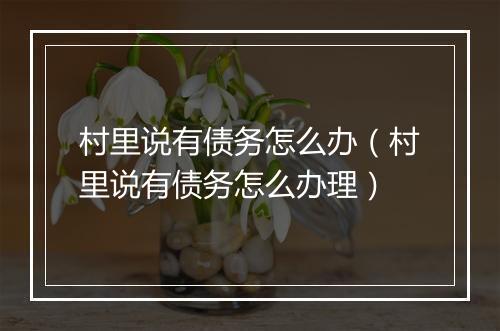 村里说有债务怎么办（村里说有债务怎么办理）