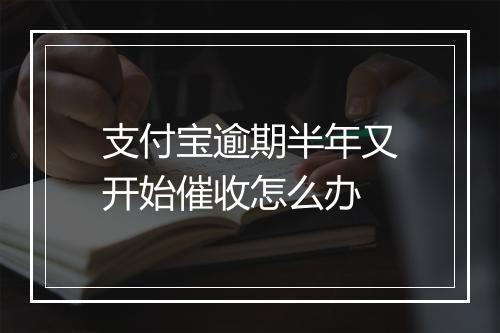 支付宝逾期半年又开始催收怎么办