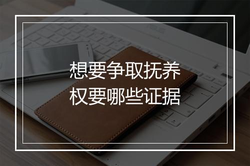 想要争取抚养权要哪些证据