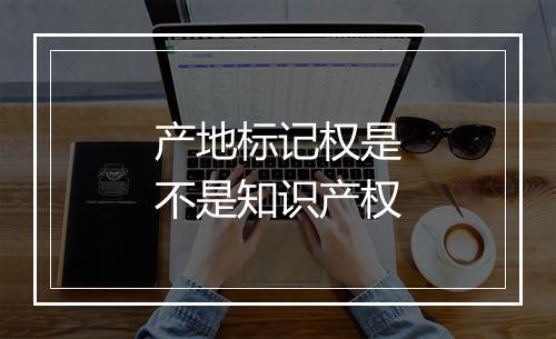 产地标记权是不是知识产权