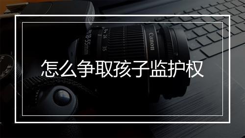 怎么争取孩子监护权