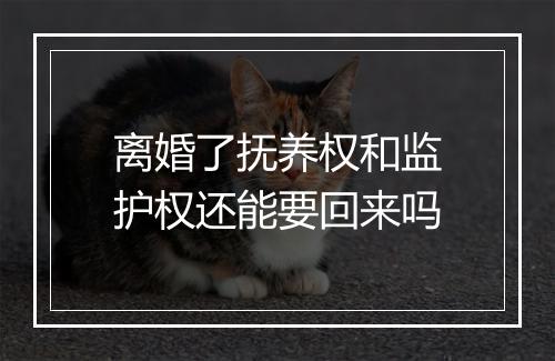 离婚了抚养权和监护权还能要回来吗