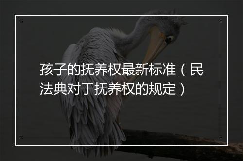 孩子的抚养权最新标准（民法典对于抚养权的规定）