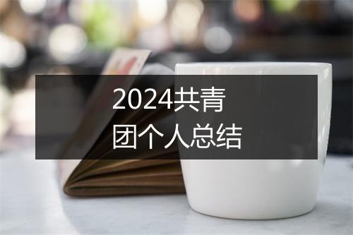 2024共青团个人总结