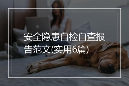 安全隐患自检自查报告范文(实用6篇)