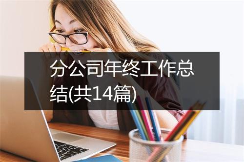 分公司年终工作总结(共14篇)