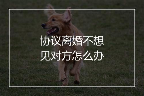 协议离婚不想见对方怎么办