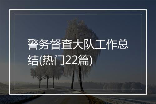 警务督查大队工作总结(热门22篇)