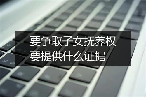 要争取子女抚养权要提供什么证据