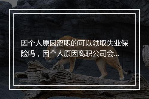因个人原因离职的可以领取失业保险吗，因个人原因离职公司会不会给予赔偿