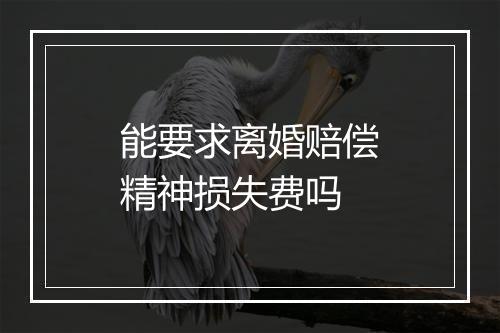 能要求离婚赔偿精神损失费吗