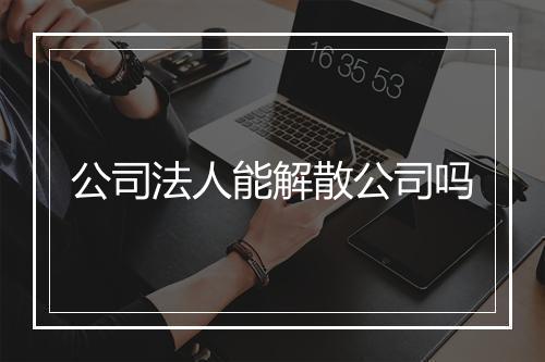 公司法人能解散公司吗