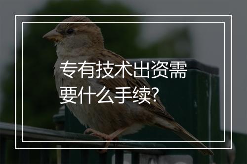 专有技术出资需要什么手续?