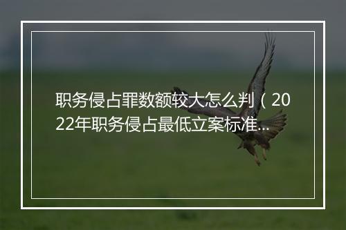 职务侵占罪数额较大怎么判（2022年职务侵占最低立案标准）