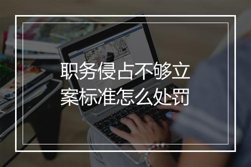 职务侵占不够立案标准怎么处罚