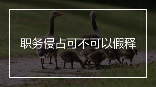职务侵占可不可以假释