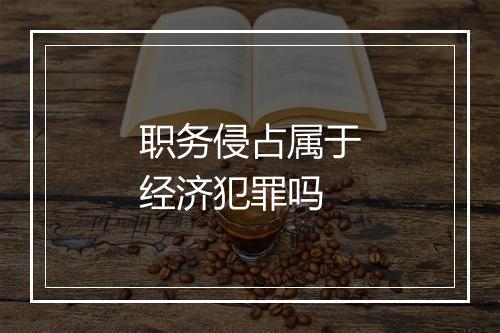职务侵占属于经济犯罪吗