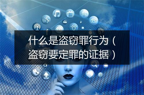 什么是盗窃罪行为（盗窃要定罪的证据）