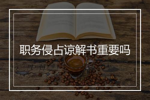 职务侵占谅解书重要吗