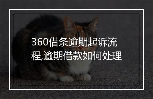360借条逾期起诉流程,逾期借款如何处理