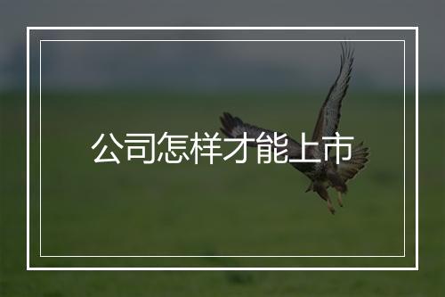 公司怎样才能上市