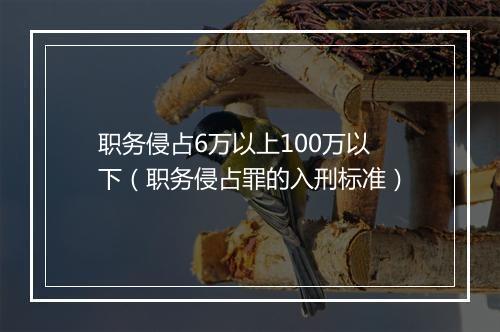 职务侵占6万以上100万以下（职务侵占罪的入刑标准）