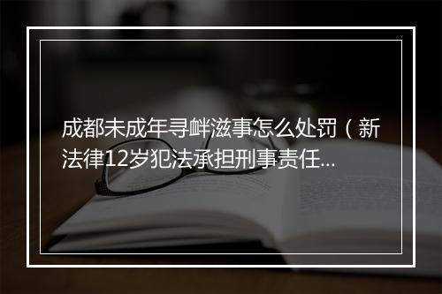 成都未成年寻衅滋事怎么处罚（新法律12岁犯法承担刑事责任）