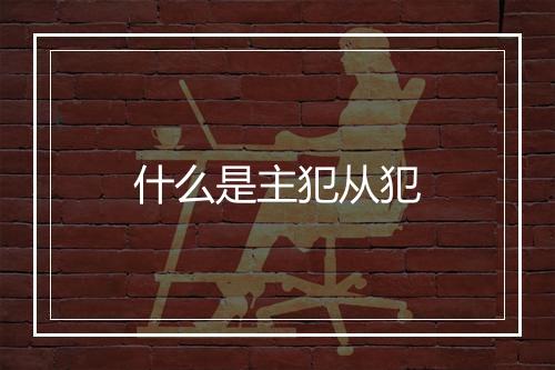 什么是主犯从犯