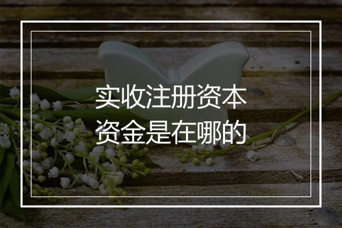实收注册资本资金是在哪的