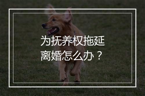 为抚养权拖延离婚怎么办？