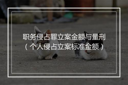职务侵占罪立案金额与量刑（个人侵占立案标准金额）