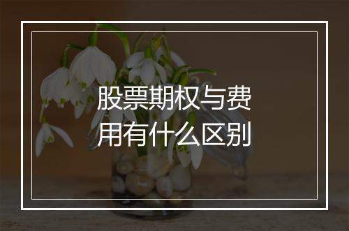 股票期权与费用有什么区别