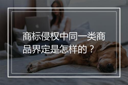 商标侵权中同一类商品界定是怎样的？