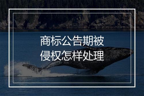 商标公告期被侵权怎样处理