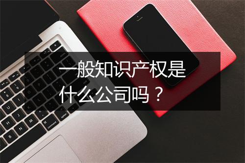 一般知识产权是什么公司吗？