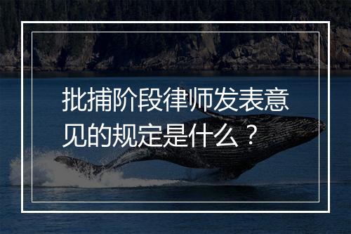批捕阶段律师发表意见的规定是什么？