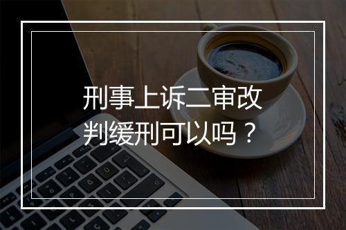 刑事上诉二审改判缓刑可以吗？