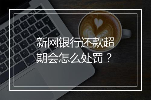 新网银行还款超期会怎么处罚？