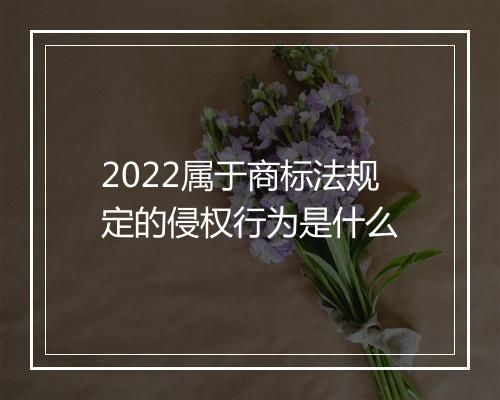 2022属于商标法规定的侵权行为是什么