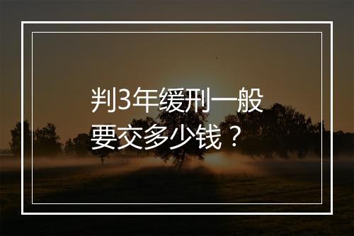判3年缓刑一般要交多少钱？