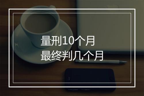 量刑10个月最终判几个月