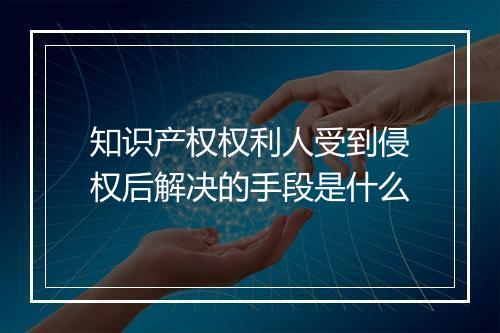 知识产权权利人受到侵权后解决的手段是什么