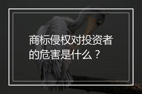 商标侵权对投资者的危害是什么？